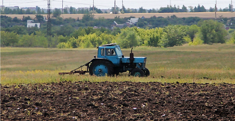 трактор Беларус 82